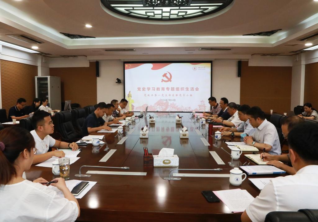 四川大學(xué)黨政辦黨支部黨史學(xué)習(xí)教育專題組織生活會