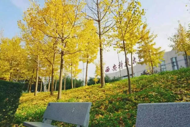 西安科技大學(xué)為中國(guó)水電三局舉辦礦山業(yè)務(wù)培訓(xùn)班