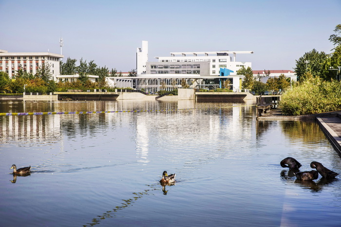 天津財經大學校園風光
