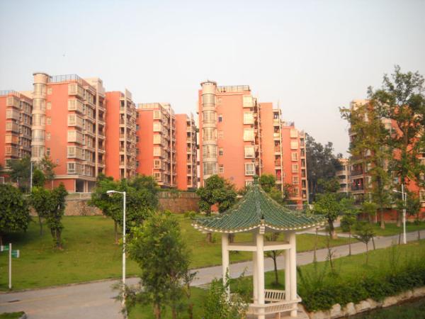 華南農(nóng)業(yè)大學(xué)